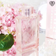 عطر ادکلن باربری بریت شیر